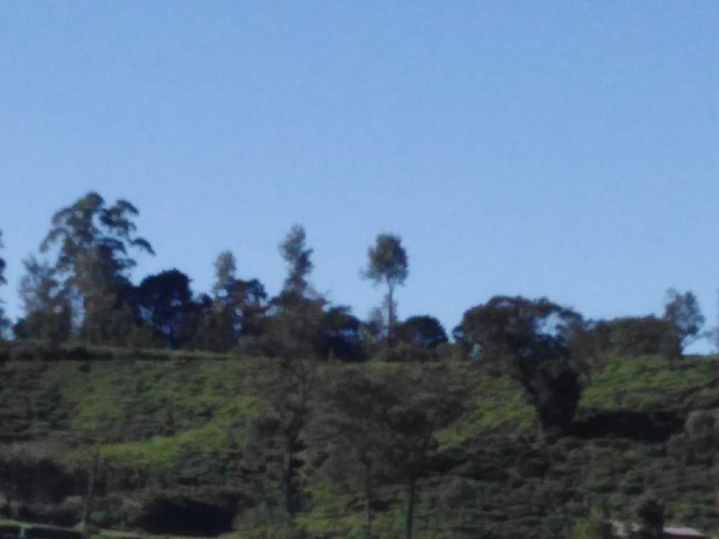 Frosty Heaven Guest House Nuwara Eliya Exterior photo